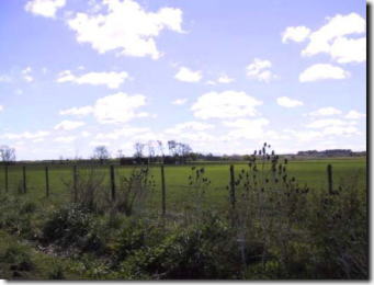 �o���f���ߍx